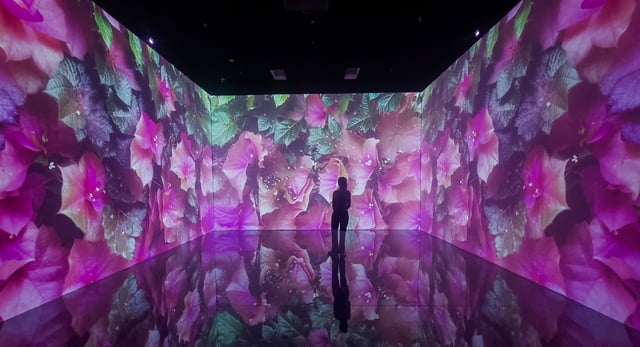 Superradiance - Taikang Beijing 2024 - 20241114_181335